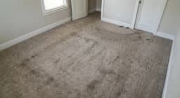 Carpet before professional cleaning